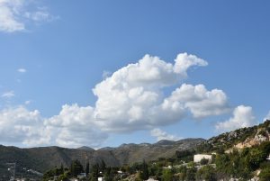 DSC_0614