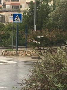 22007672_1078073772329961_8988613745464997702_n