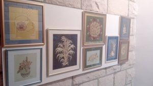 22093536_10212850047899736_1477537925_n