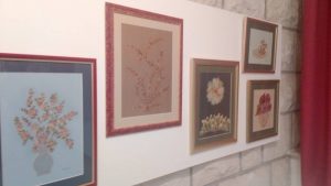 22127125_10212850053339872_503745365_n