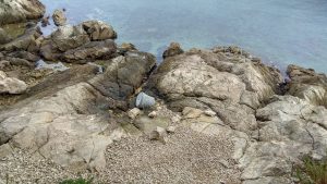 23915735_2056373544598779_8784621836831198725_n