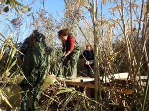 ruenje_ilegalnih_objekata_2