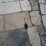 27849194_1871721129562258_948614124_n