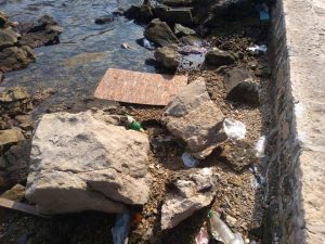 41739435_505760713223682_5816042934679633920_n