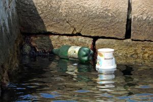 41747598_1868801996538354_6869991938766929920_n