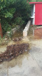 42894639_244852979531976_7593588649904570368_n