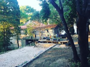 44049121_1955240161229668_7238566515778256896_n