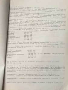 46787899_2063099913756063_3074054955858919424_n