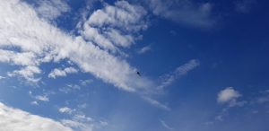 49864606_597464844041738_2301732411978809344_n