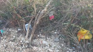 50250666_1196095560555009_2601472063533219840_n