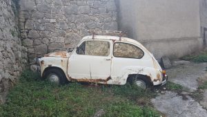 50523423_429746294229915_6338481541089329152_n