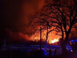 52351600_320831575234180_1010128023996858368_n