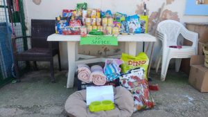 52837074_1464723257023530_5040621172463501312_n