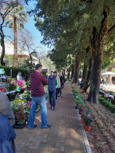 56232442_429832227769319_8118082161942200320_n