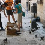 57870585_2026428970787687_3251032897221558272_n