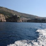 66503371_757867747963103_1449846719926763520_n