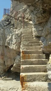 IMG-19c50a49675a66a5f33a078c17e5fb1c-V