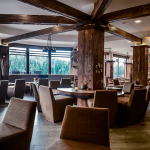 pub-grizzly-2