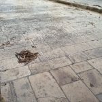 75258511_2817624768290377_1200563927553933312_o