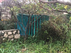 75588253_808700866243028_1534275481929515008_n