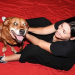 72385052_2384599961778073_2431393269872066560_n