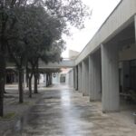 Mali Stradun danas 8