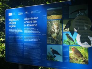 IMG_20200614_154922