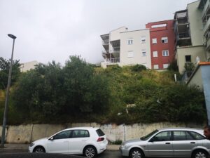 120774765_344567316813953_201039102041235847_n