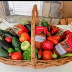 121109010_654959665456042_1933275016262770575_n