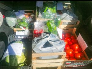 121152552_367499411287731_3930865094690567191_n